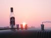 DSCN7898.JPG